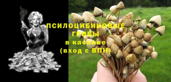 прущие крисы Баксан