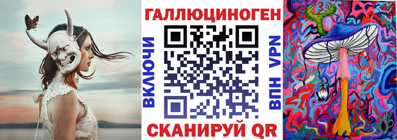 продажа наркотиков  Шагонар  Псилоцибиновые грибы Cubensis 